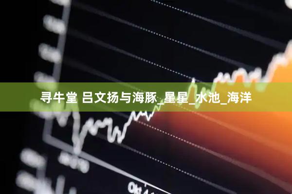 寻牛堂 吕文扬与海豚_星星_水池_海洋