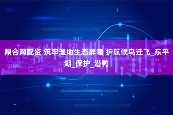 鼎合网配资 筑牢湿地生态屏障 护航候鸟迁飞_东平湖_保护_潜鸭