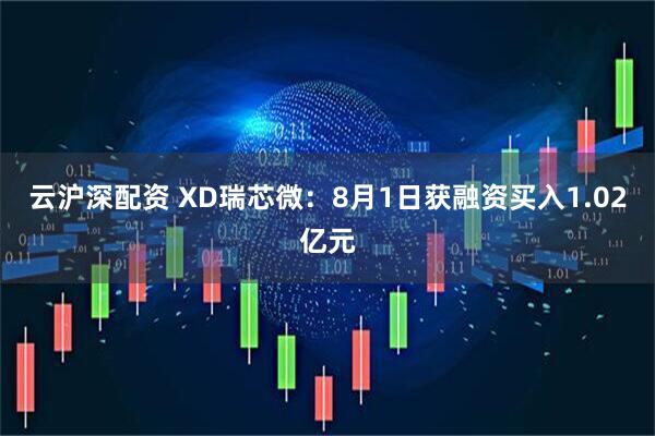 云沪深配资 XD瑞芯微：8月1日获融资买入1.02亿元