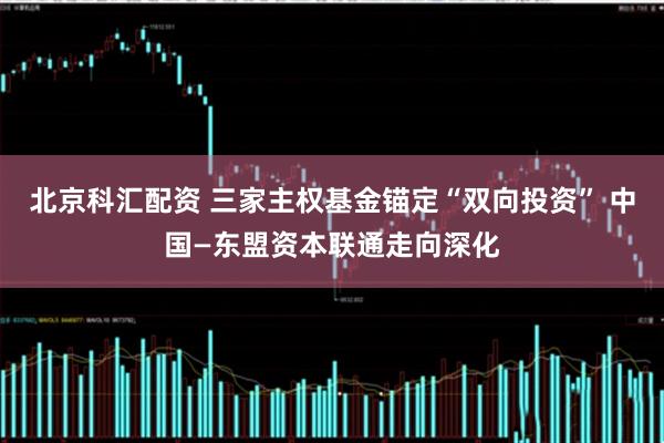 北京科汇配资 三家主权基金锚定“双向投资” 中国—东盟资本联通走向深化
