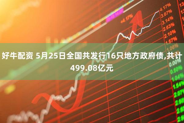 好牛配资 5月25日全国共发行16只地方政府债,共计499.08亿元